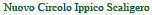 Nuovo Circolo Ippico Scaligero